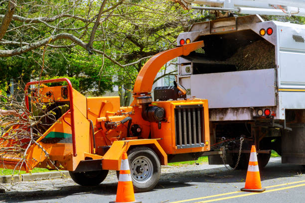  Russell, KS Tree Care Services Pros